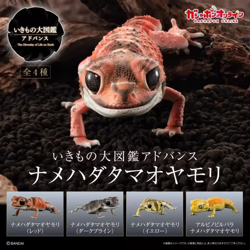 Original Biological Encycloped - огляд і ціна Model Kit Lizard