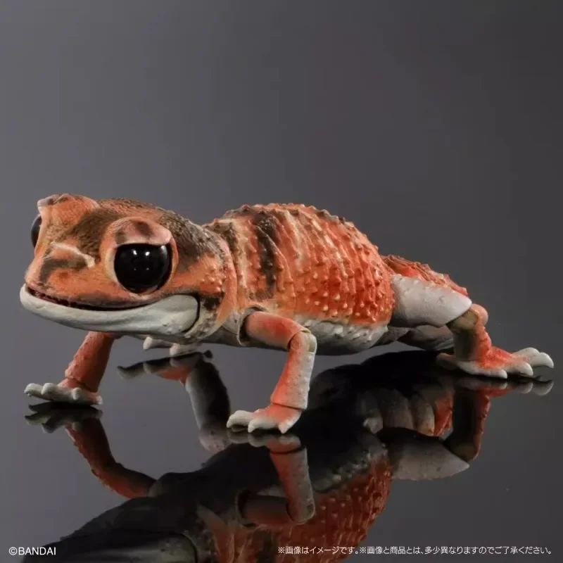 Original Biological Encycloped - огляд і ціна Model Kit Lizard
