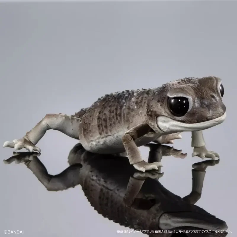 Original Biological Encycloped - огляд і ціна Model Kit Lizard