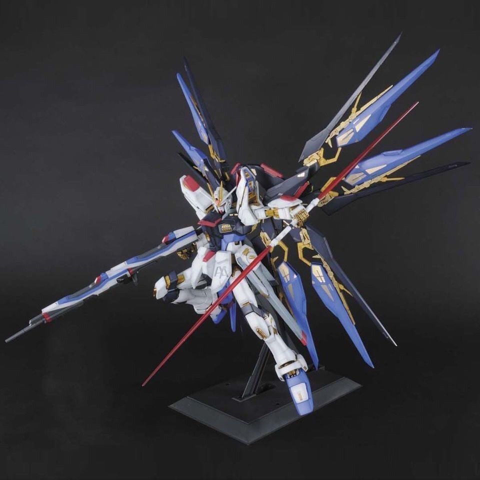 In Stock PG 1/60 DABAN Strike  - огляд і ціна Model Kit In Era