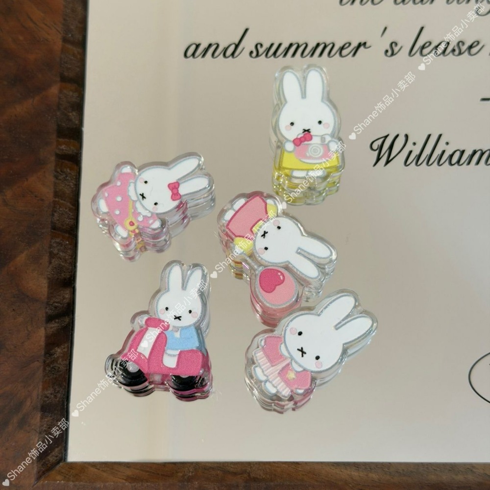Acrylic Miffy Rabbit Beads DIY - огляд і ціна Model Kit Mobil